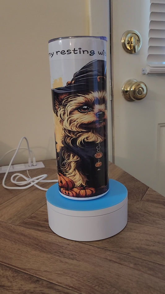 Halloween Yorkie 20oz Tumbler